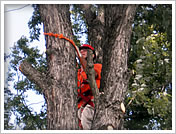 Penn Hills Job Photos